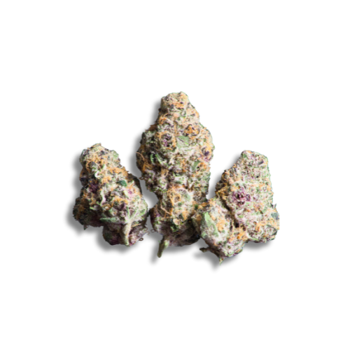 Blockberry: AAA Aeroponic Indoor Flower