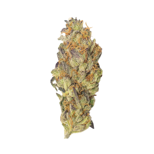 Exodus Cheese: AA Hydro Greenhouse Flower