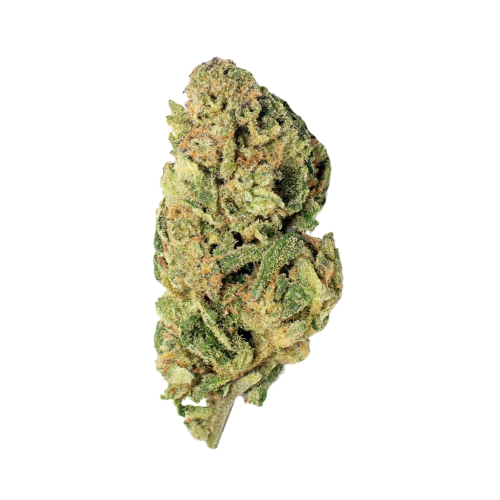 Green Creek: AA Soil-Grown Greenhouse Flower