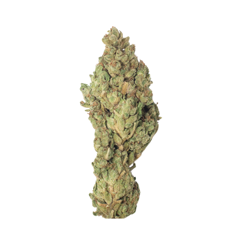 Lemon Haze: AA Soil-Grown Greenhouse Flower