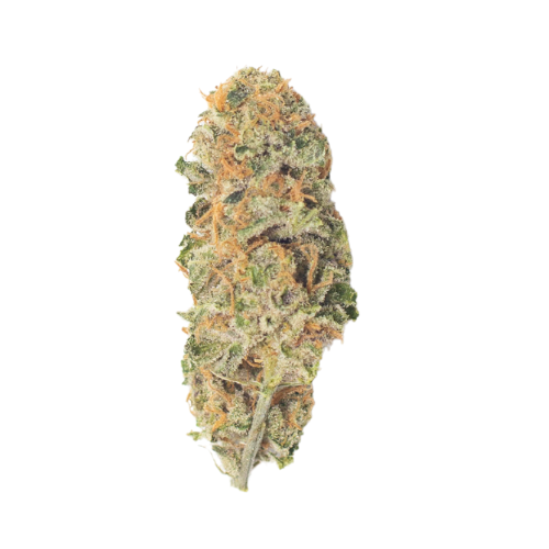 Pineapple Express: AA Hydro Indoor Flower