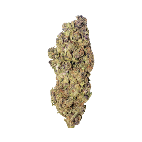 Trainwreck: AA Soil Grown Greenhouse Flower
