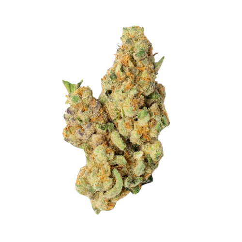 Wedding Cake: AA Hydro Indoor Flower